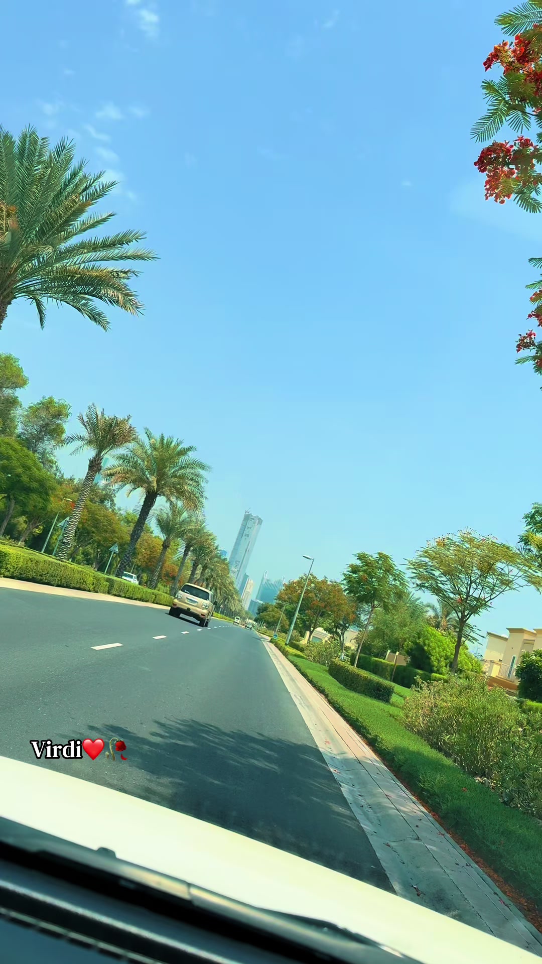 @𝕍𝕀ℝ𝔻𝕀¹²¹8❤️🥀