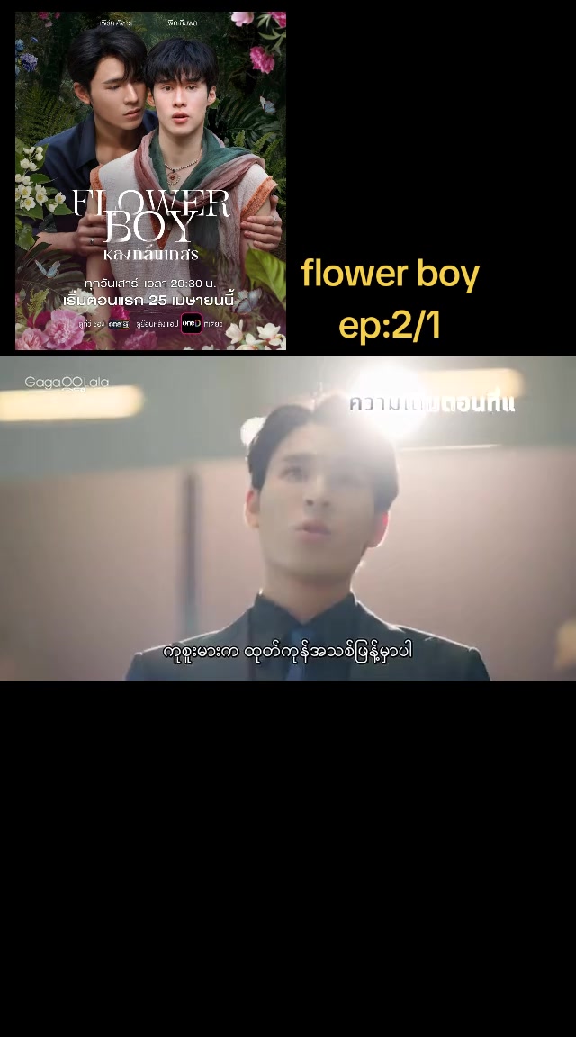 @pp(bl fan)