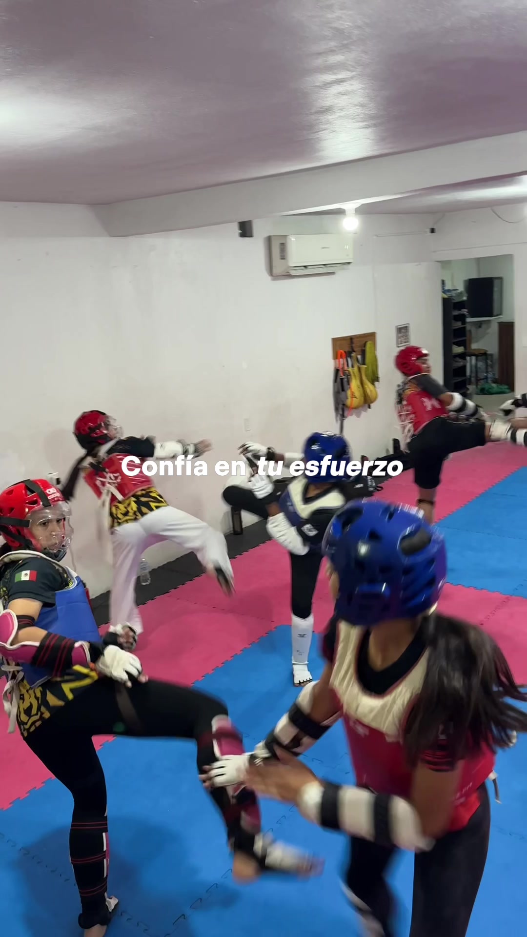@taekwondolionsteam