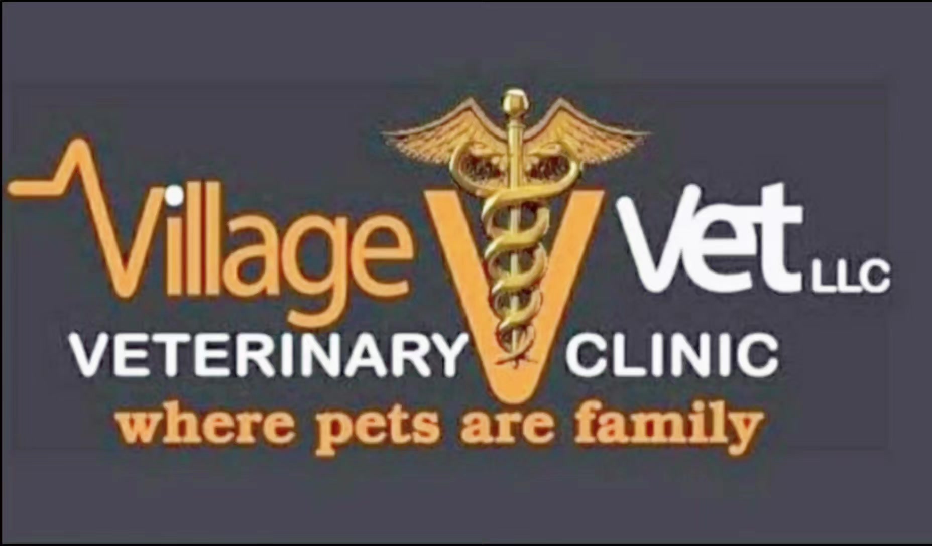 @VillagevVet LLC