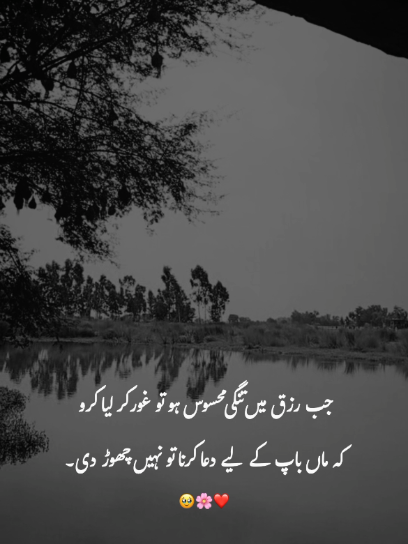 @احمد رائٹس