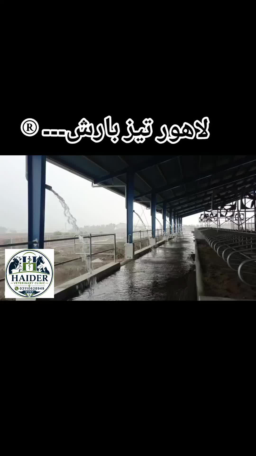 @Dr Mohammad Raza Kachala