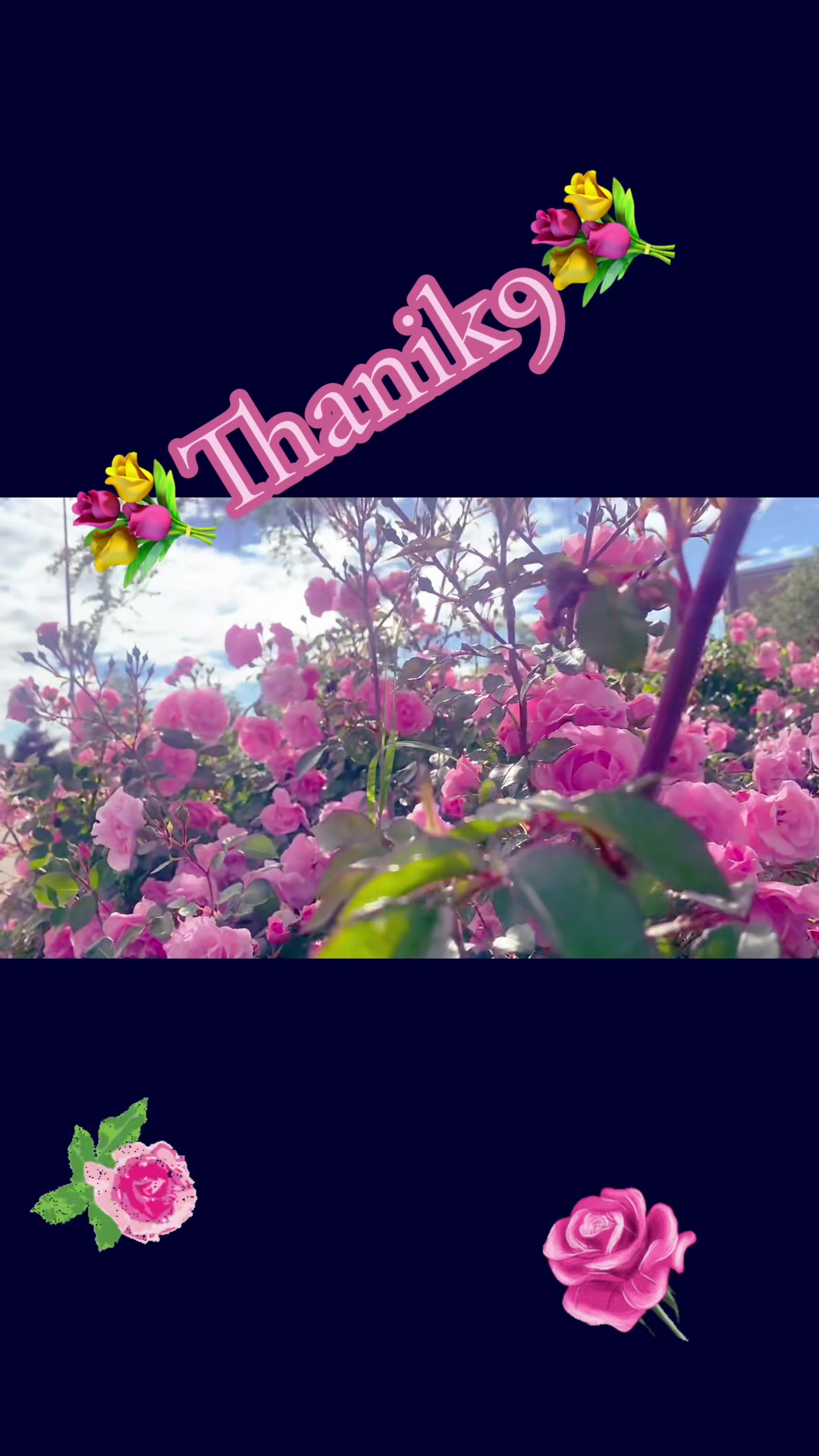 @Thanik