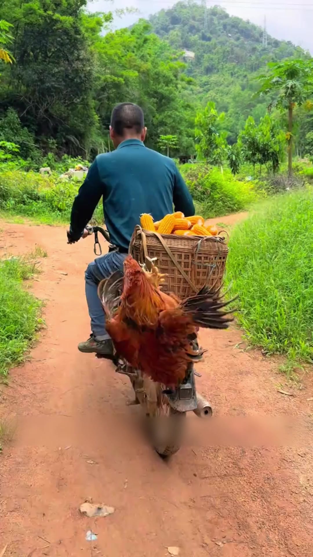 @Tài Lộc May Mắn