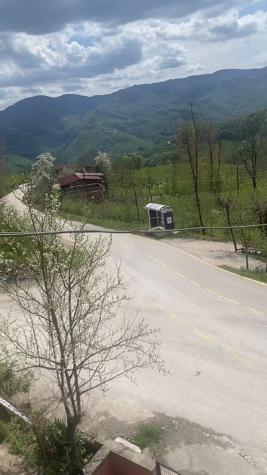 @Kıymet Yaldız