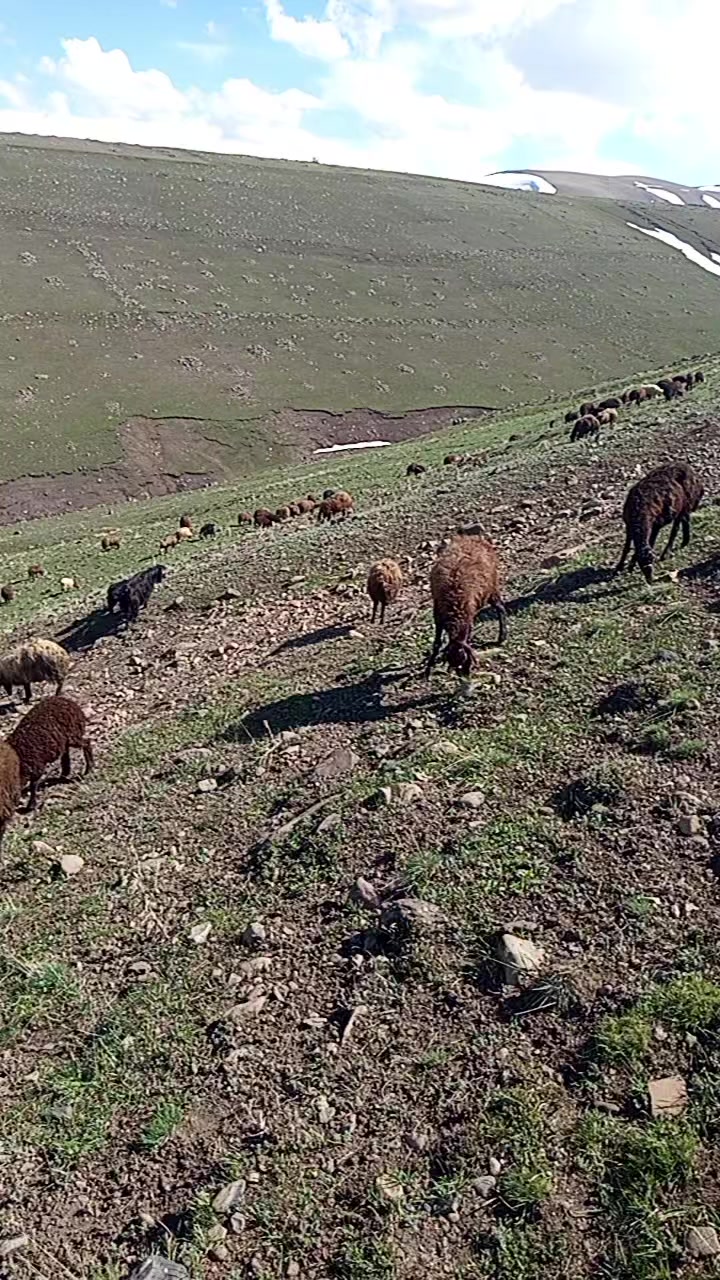 @sezer aydın