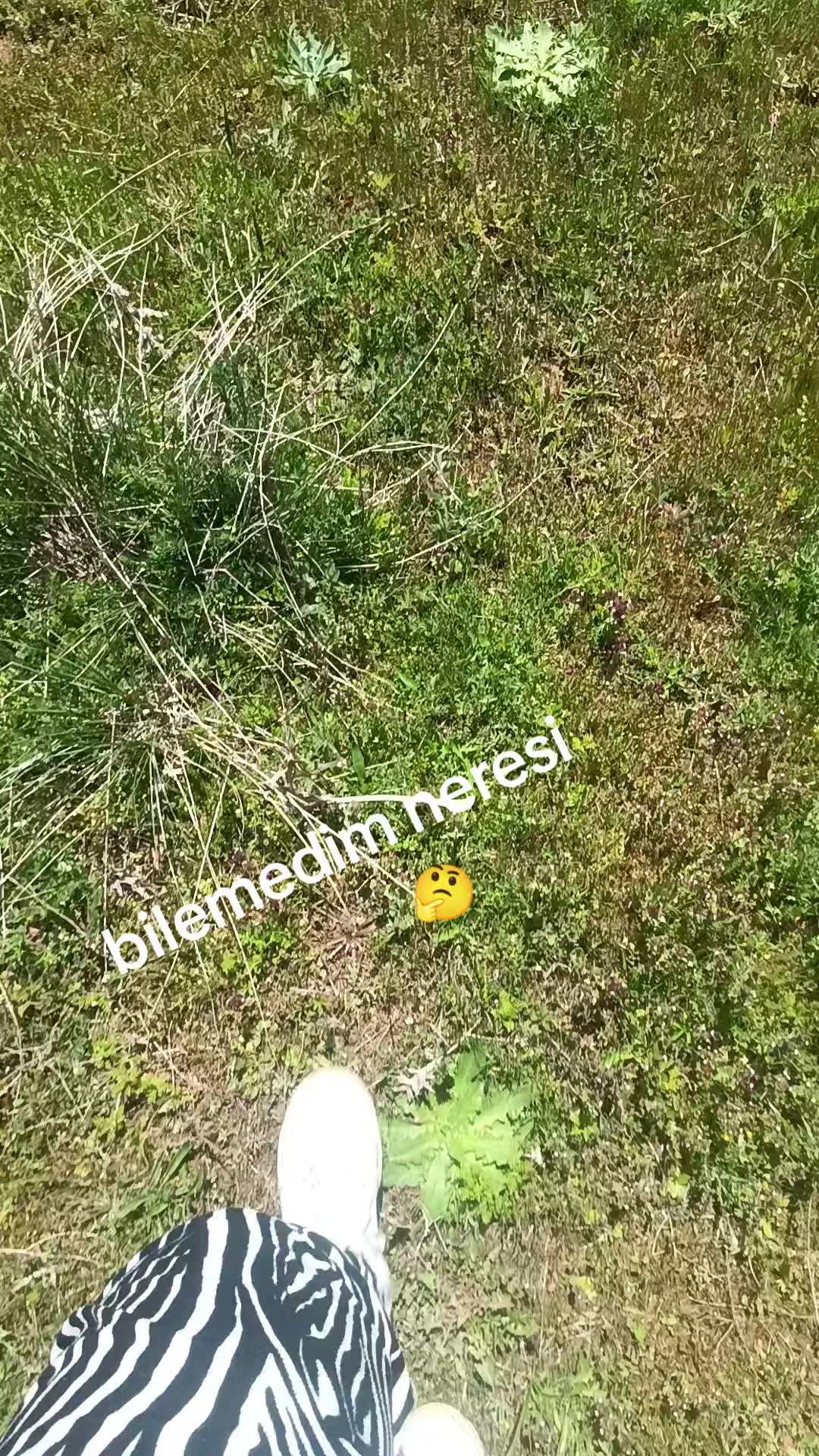 @SÜREYYA HANIM. 64