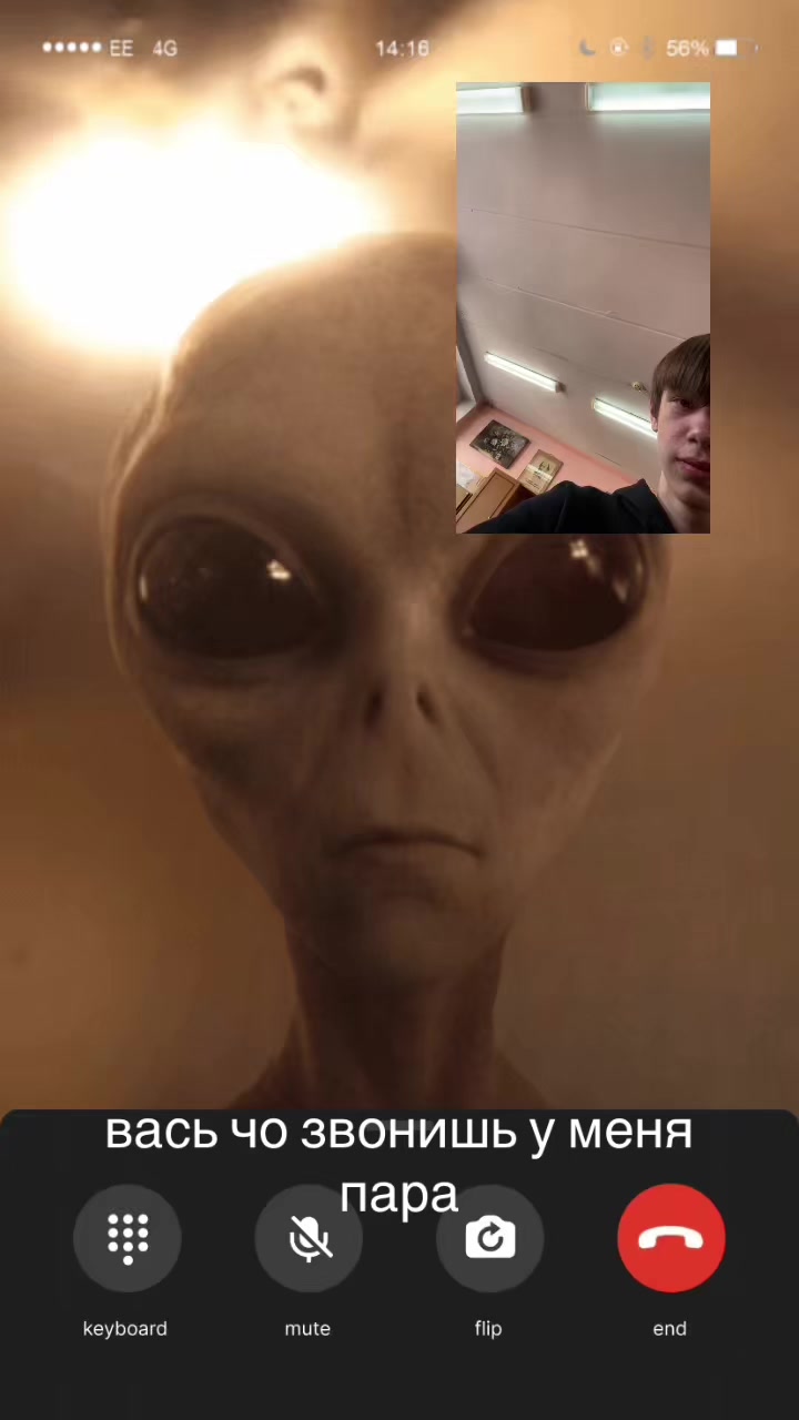 @vuxevo