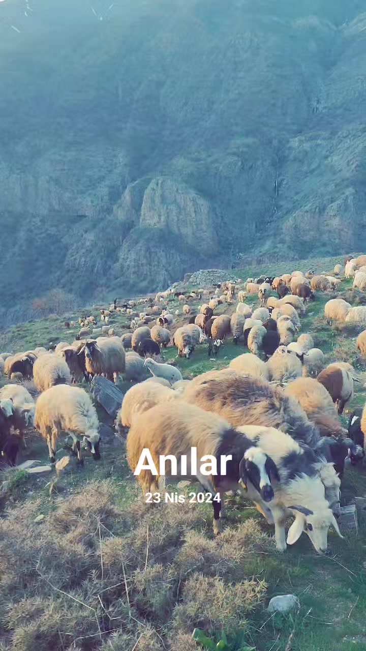 @ROJ AFRIN
