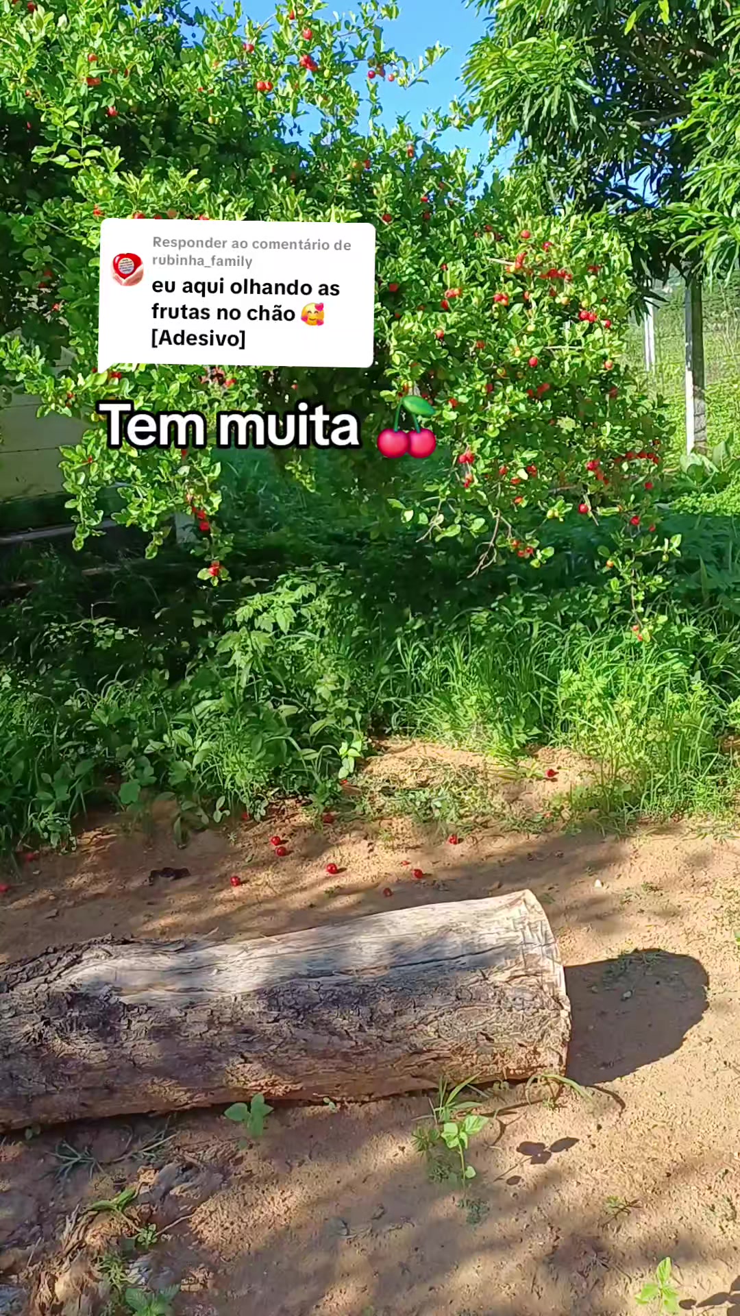 @Amante da natureza