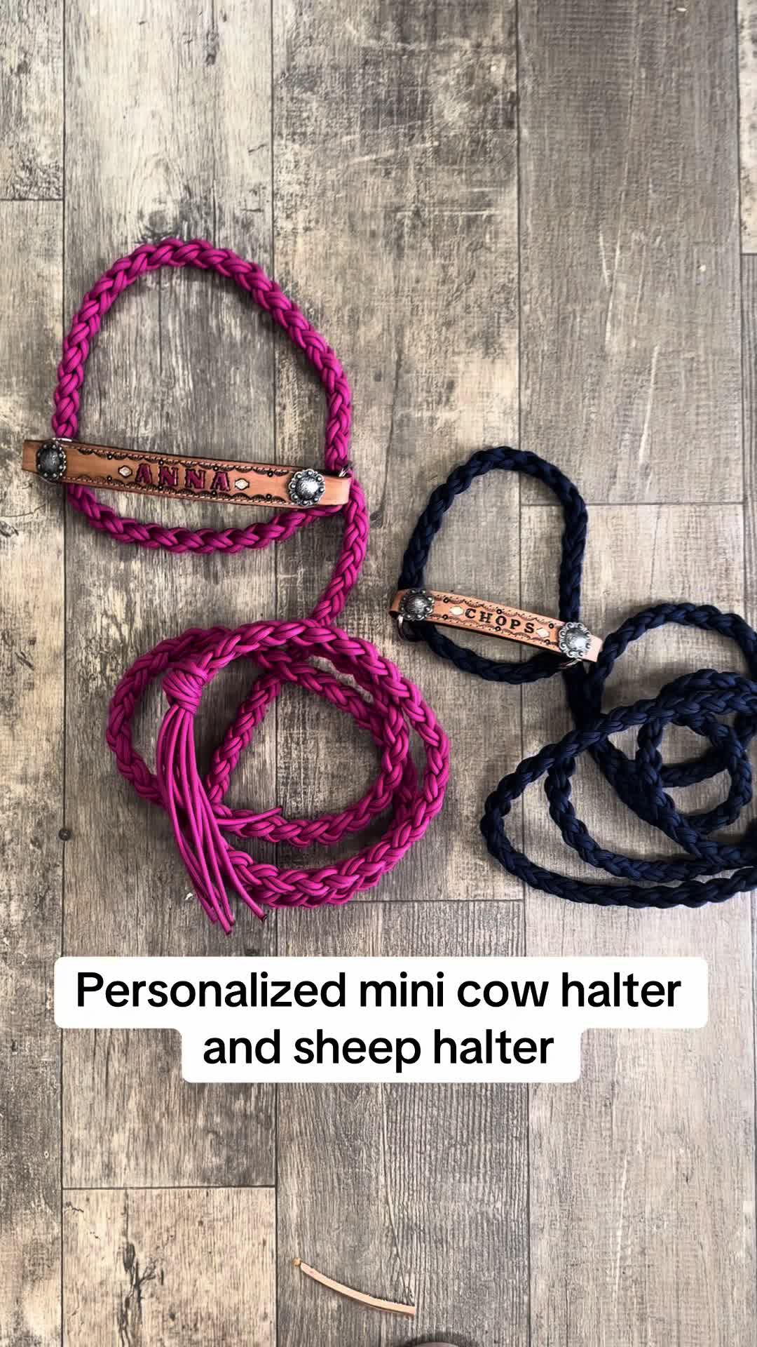 @Tiffanys Braided Horse Tack