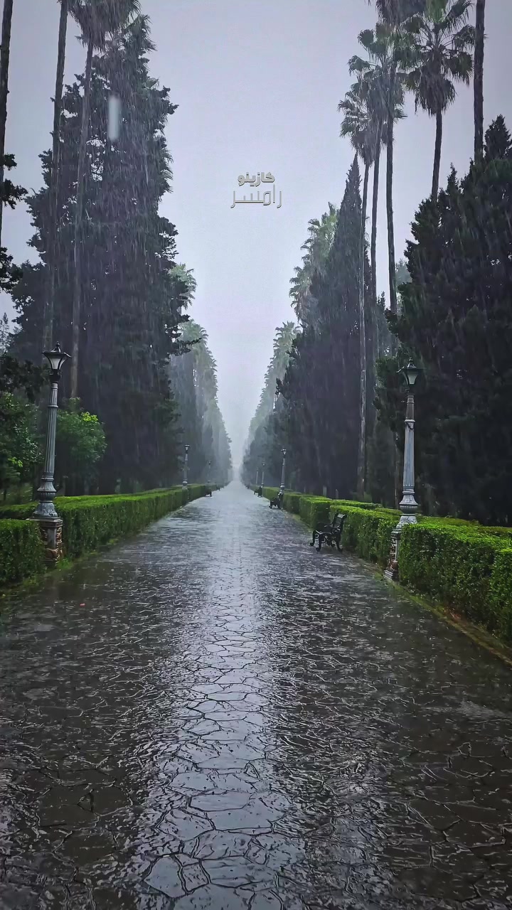 @imran bhat lovely
