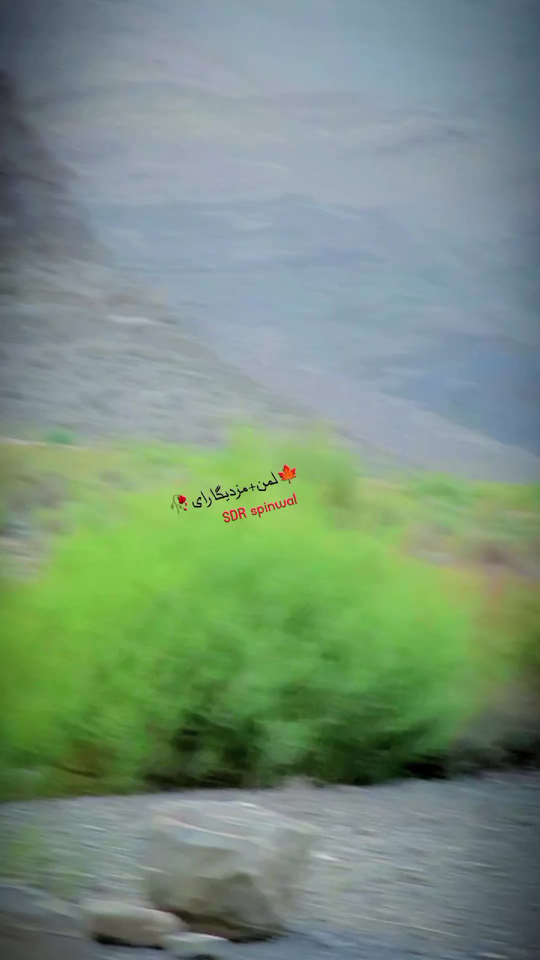 @༼ ❌↗ 𝙎𝘿𝙍.spinwal ↖ ༽❌