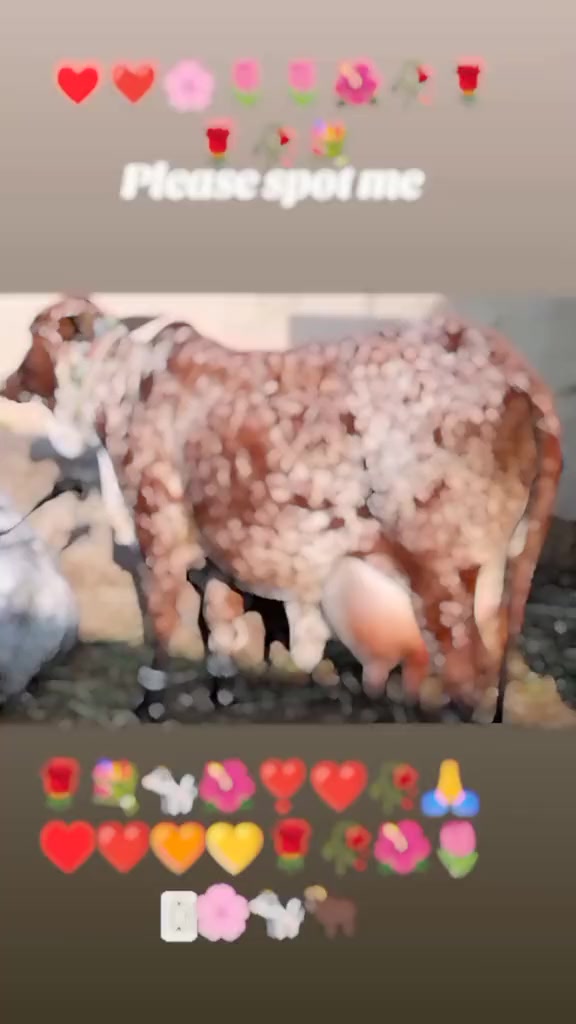 @💋💋💋💋