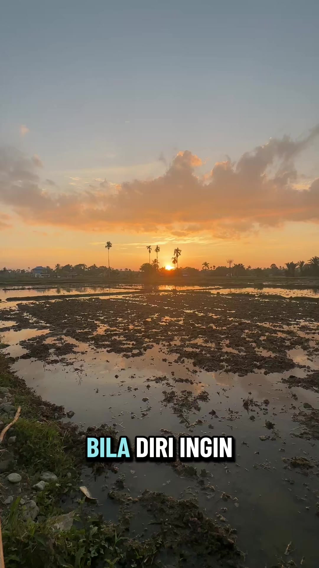 @Saheh Bukhari