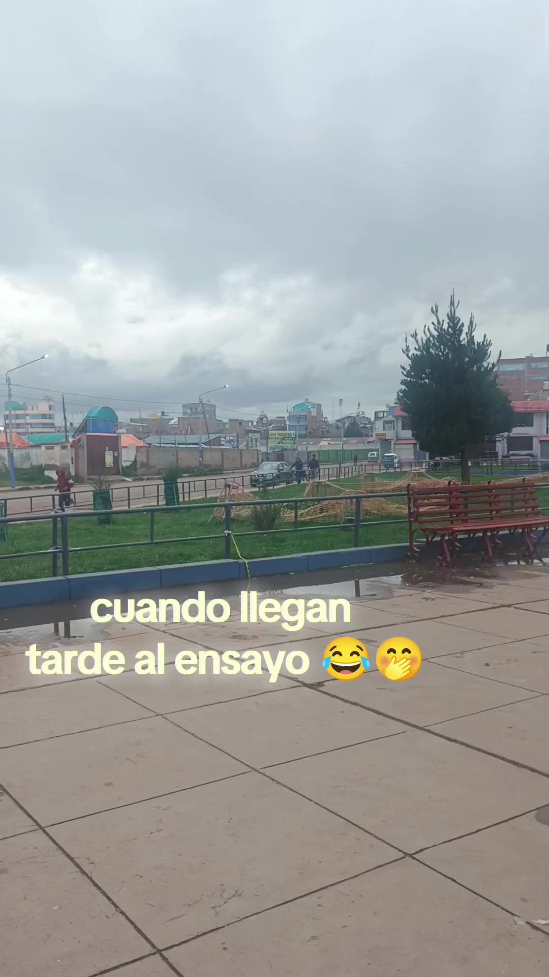 @lisetch