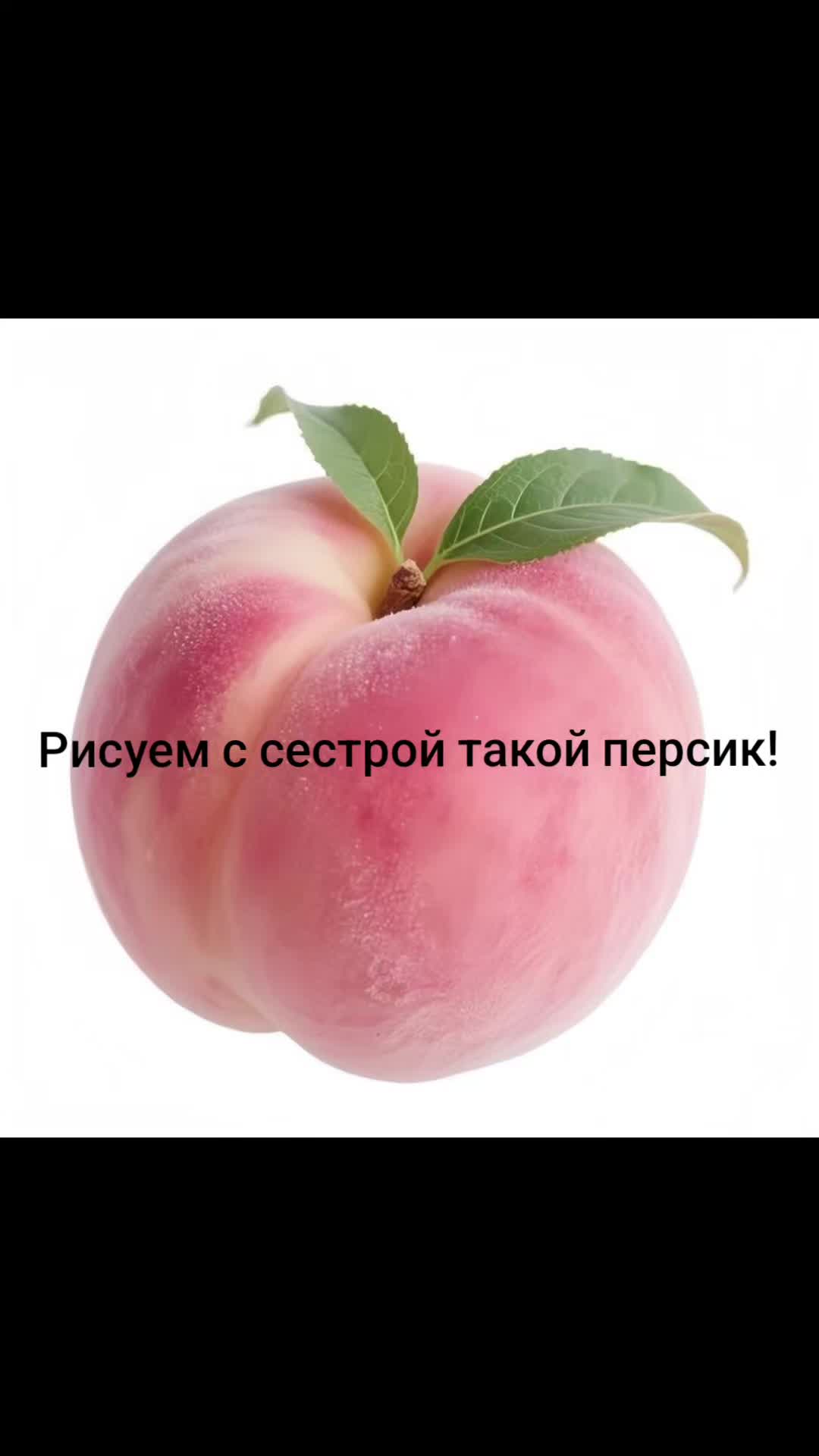 @ksunyapups