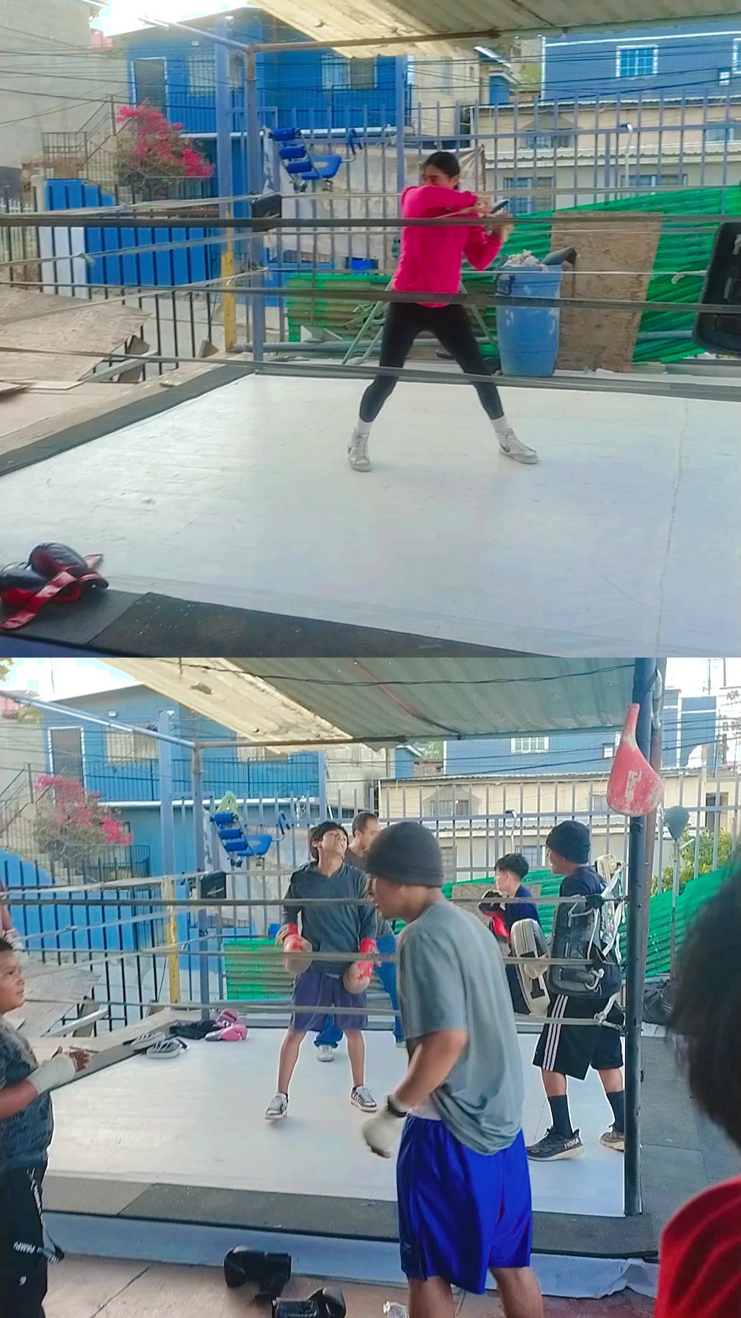@palas boxing