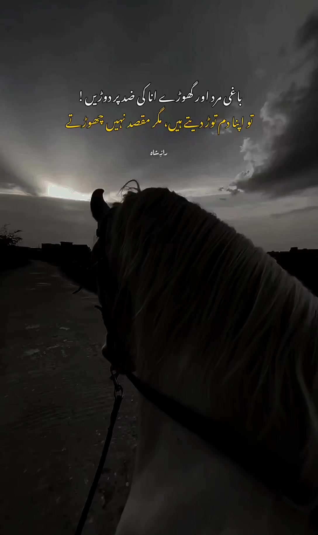 @RAAZ Ê SHAH