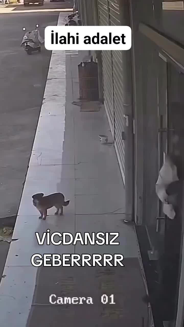 @MUSTAFA38