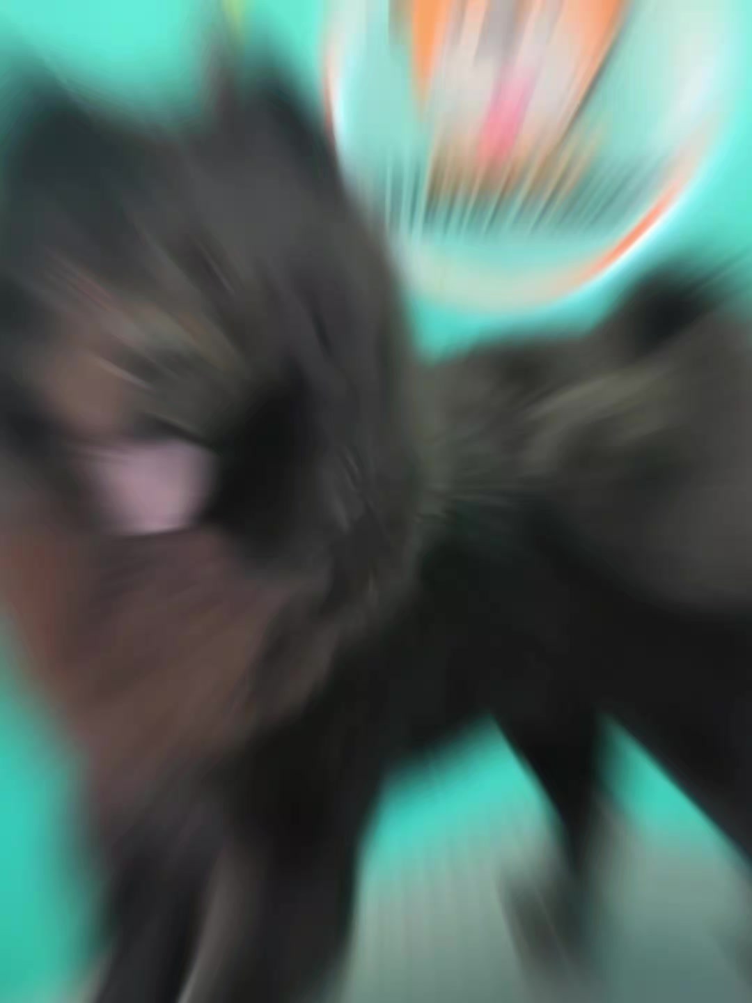 @erika