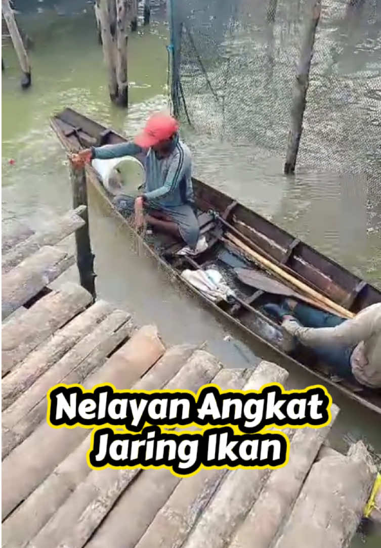@PAPAY__YA
