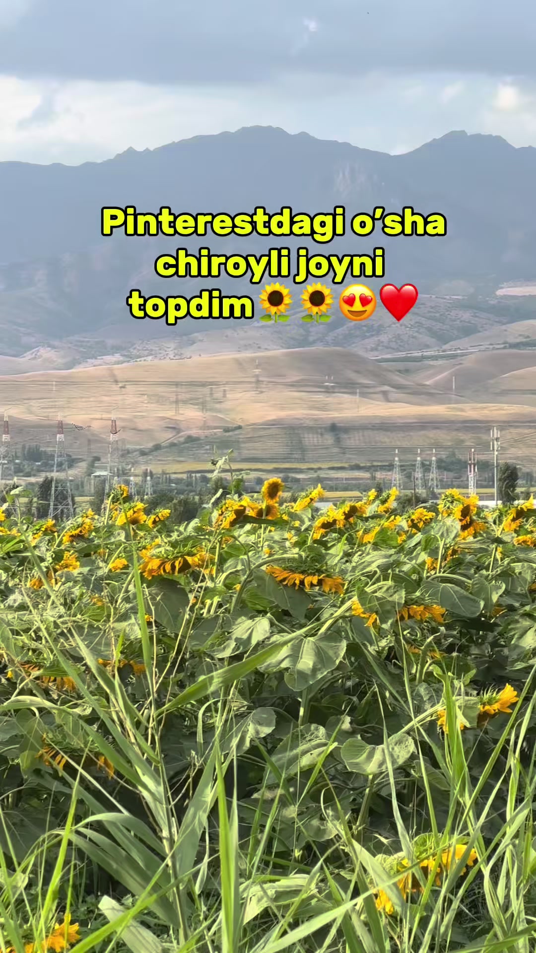 @dearmokhi_