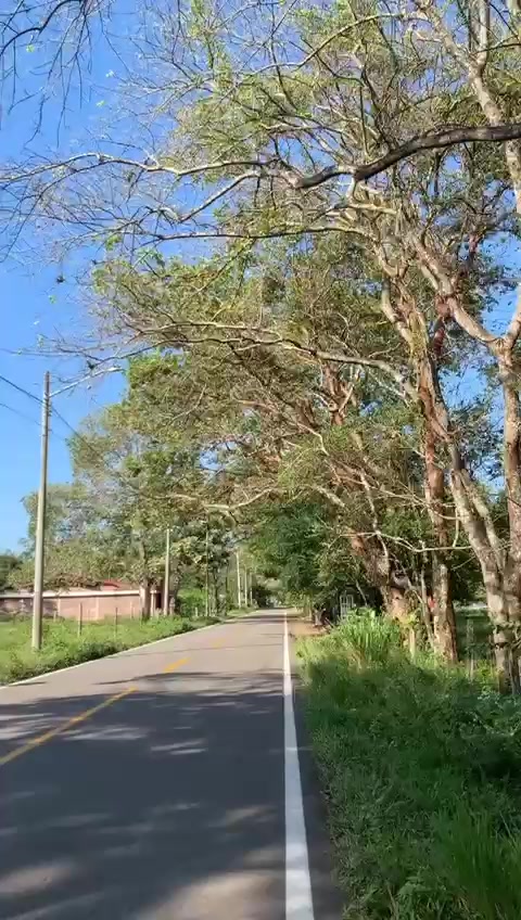 @BelitaPets