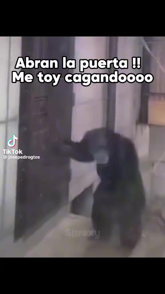 @Yo y Manolo