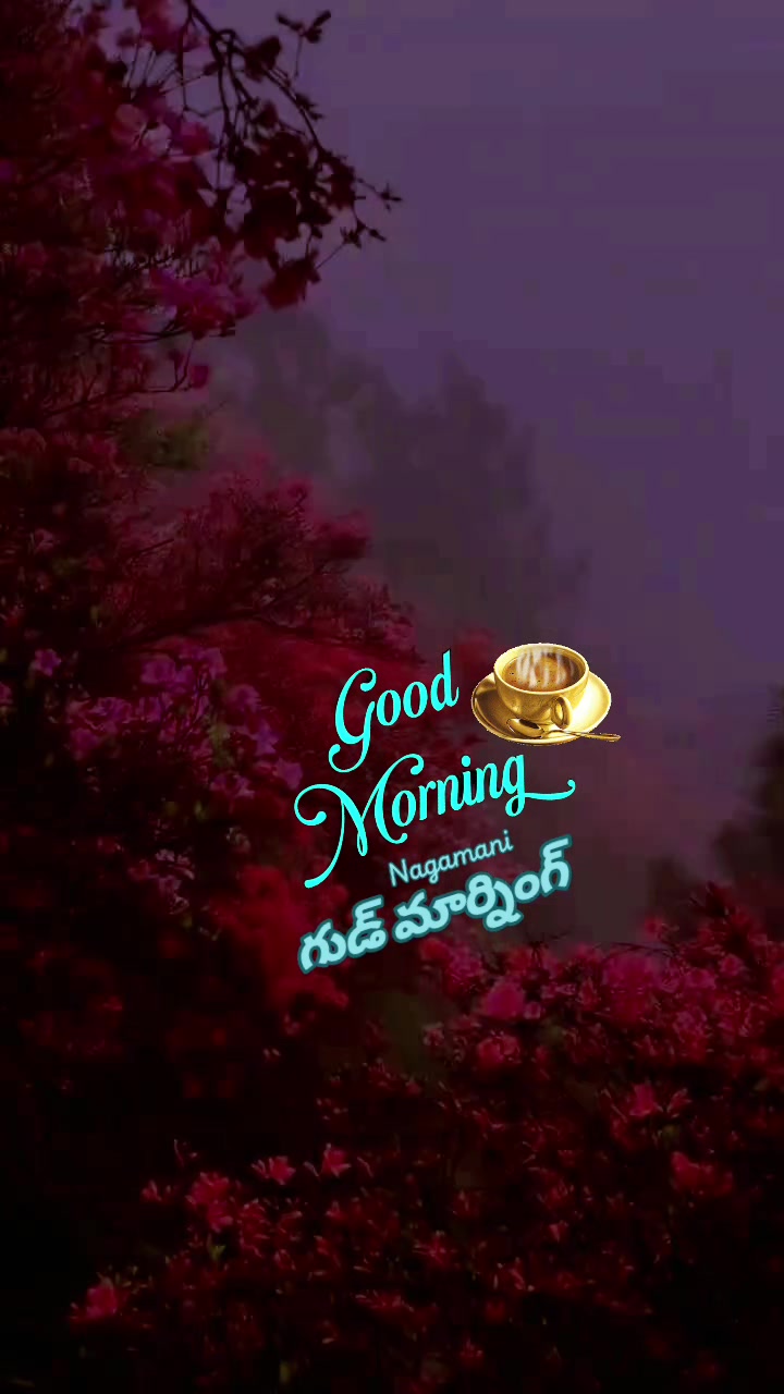 @🌿💞 Nagamani 💞🌿🌹Oman 🌹