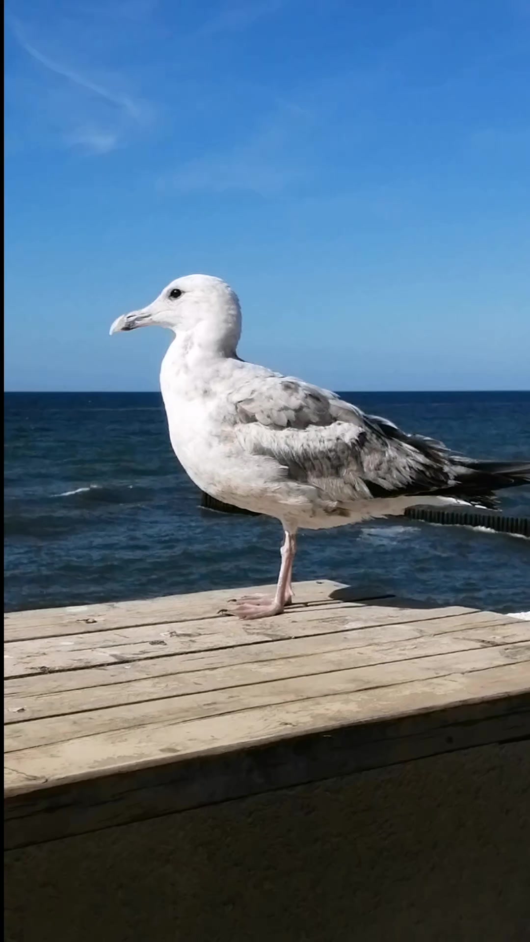@Татьяна