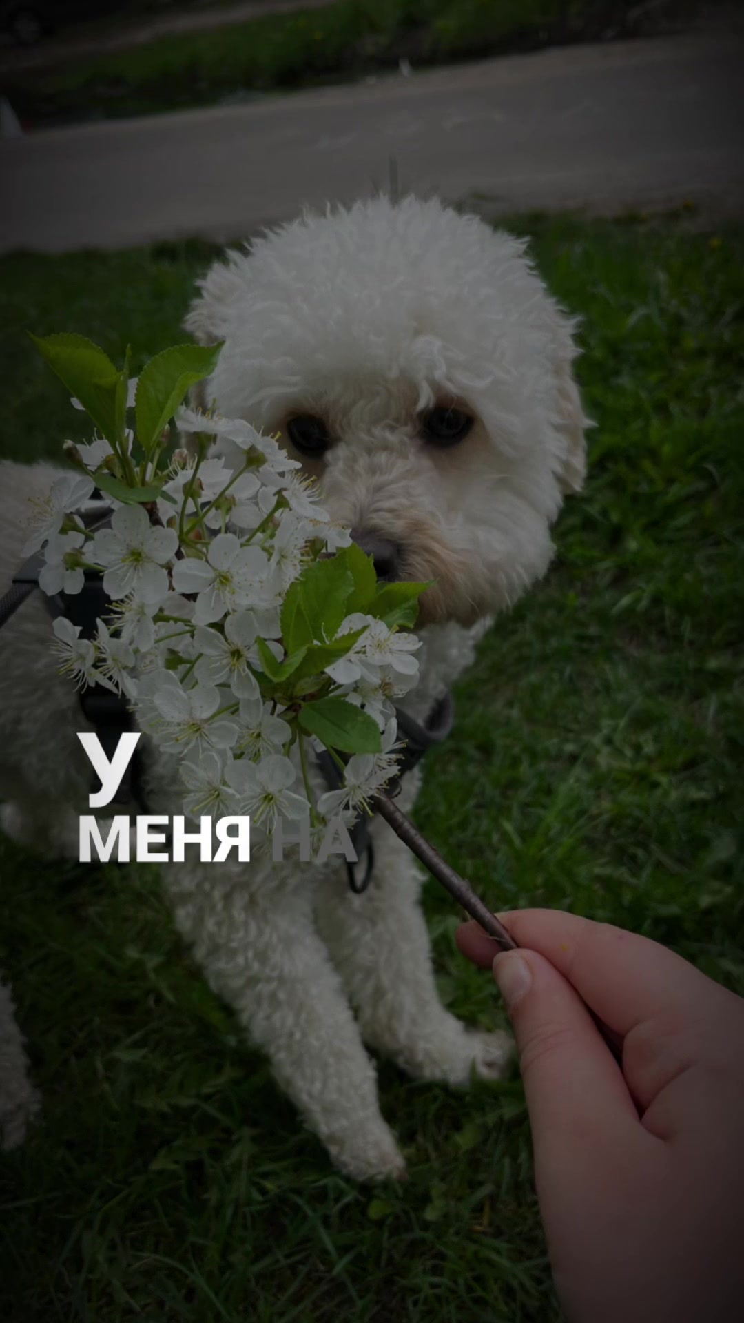 @얼셔플✝️