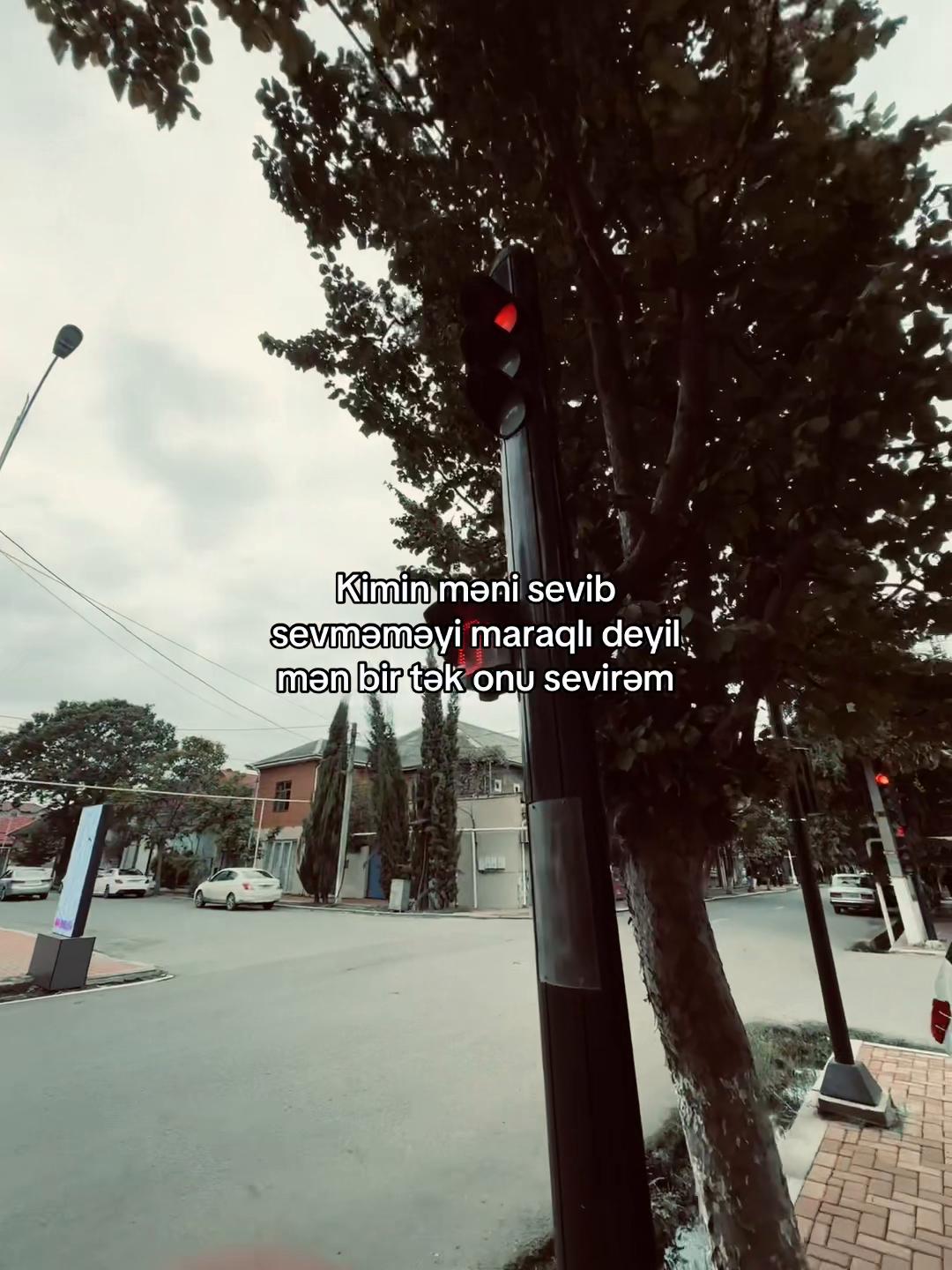 @Sinan