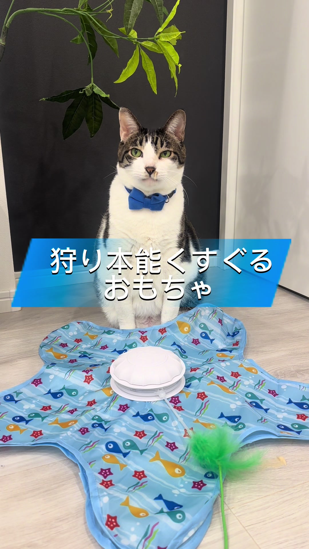 @ãºãå
çððïž