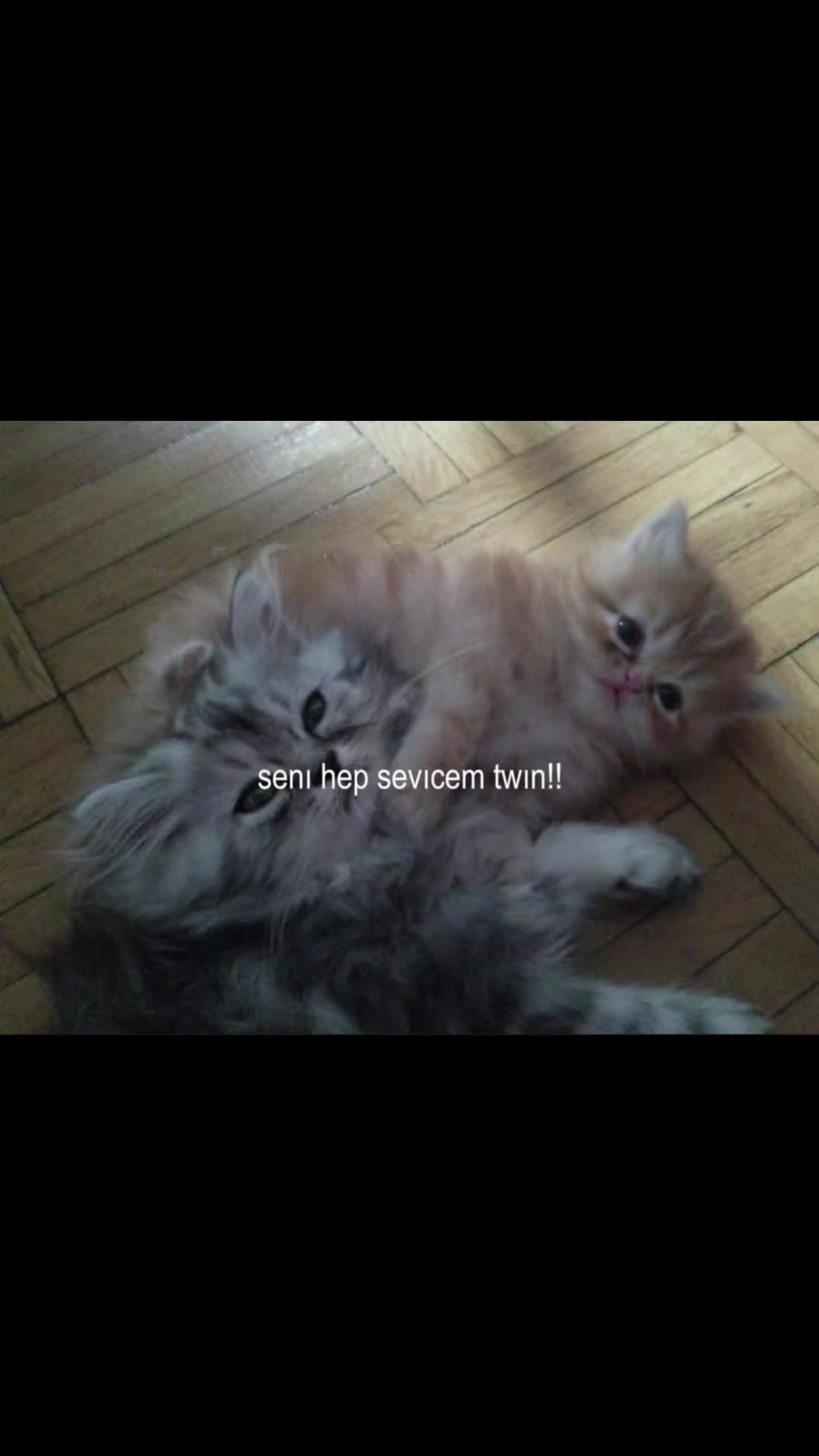 @𝐏𝐨𝐥𝐚𝐭.