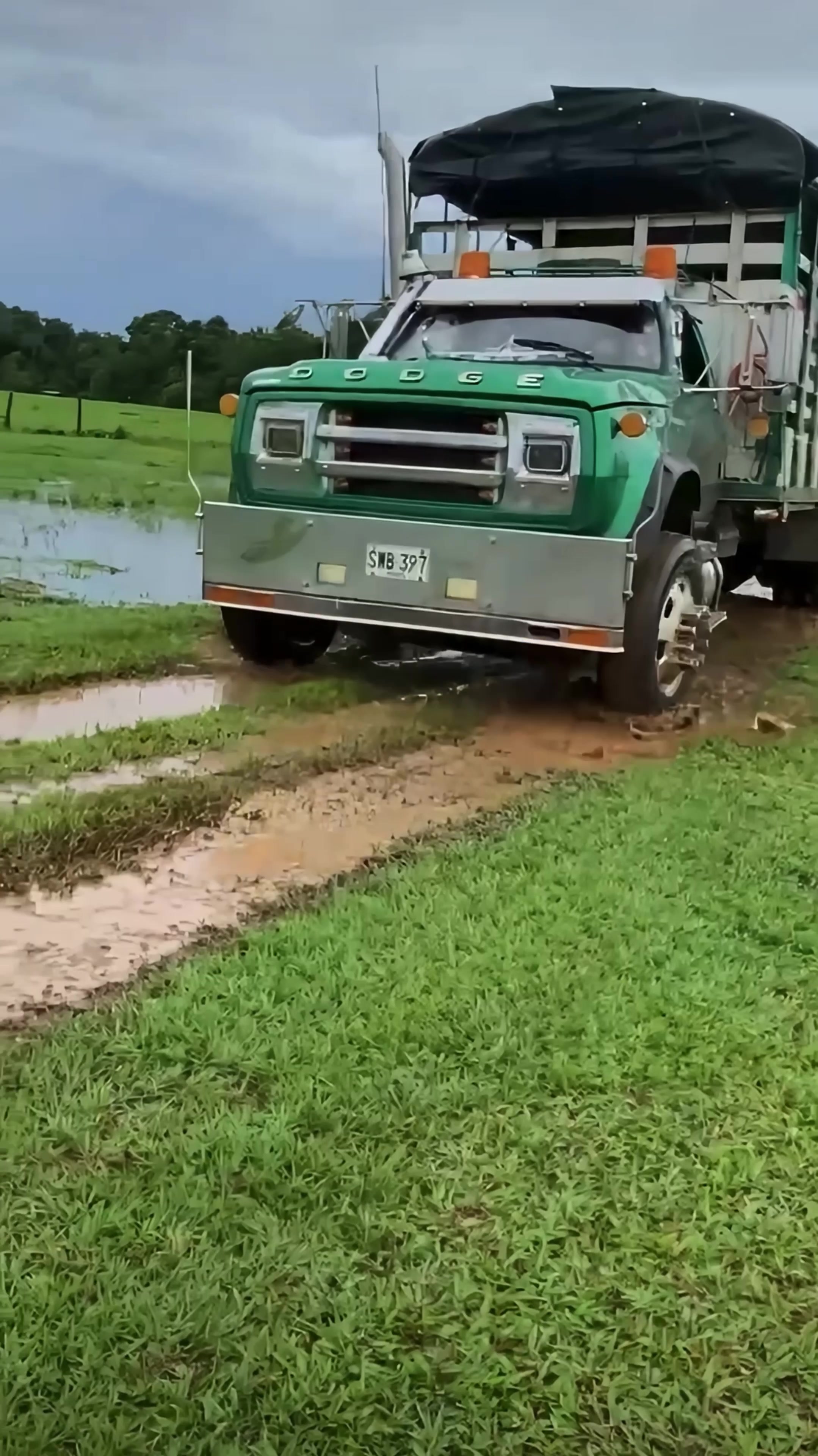 @Trocheros Trucks