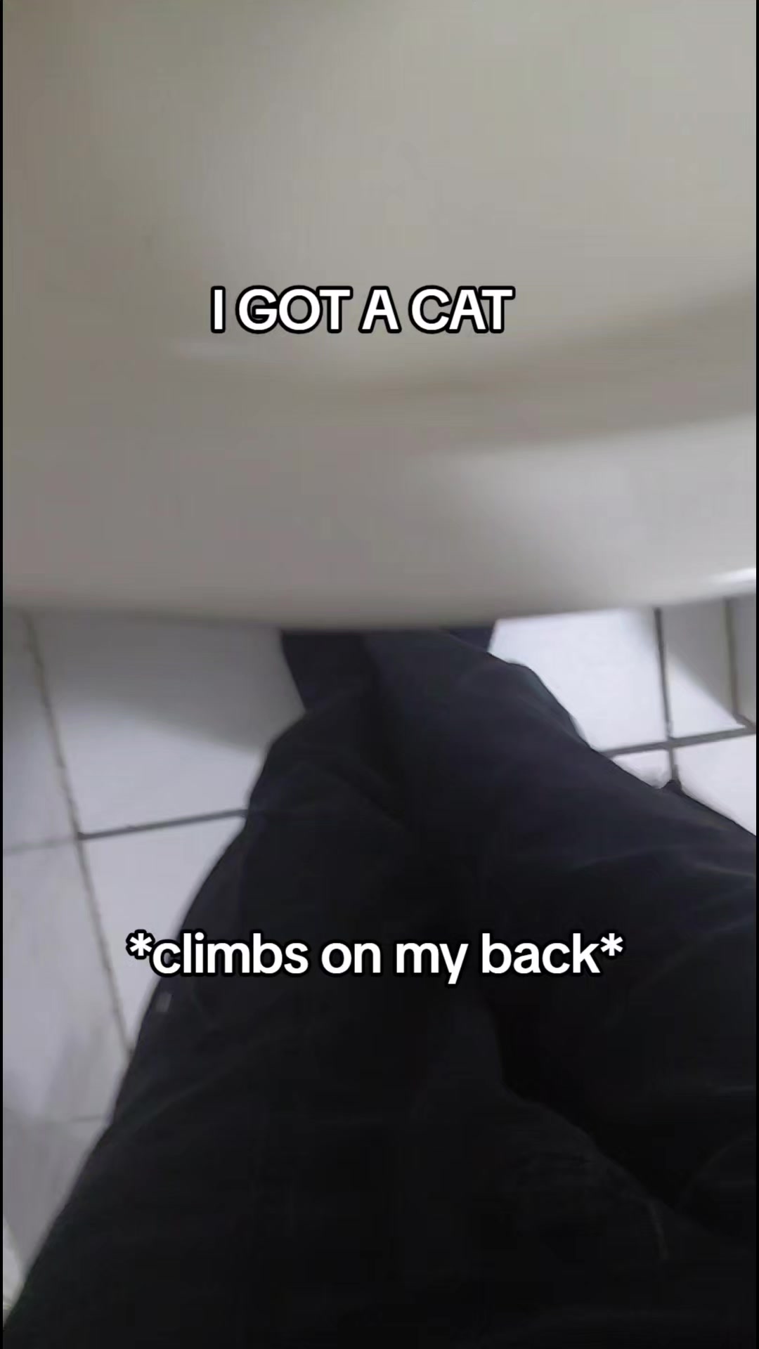 @𓆩🧷𝙰𝚜𝚑𝚎🧷𓆪