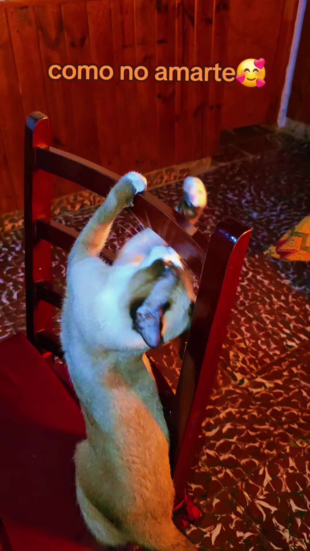 @๐น๐ผ๐Éโ ๐๐๐โ๐๐O๐ต๐ต๐ต๐ต