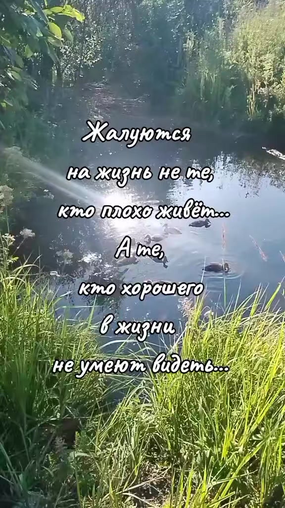 @niko