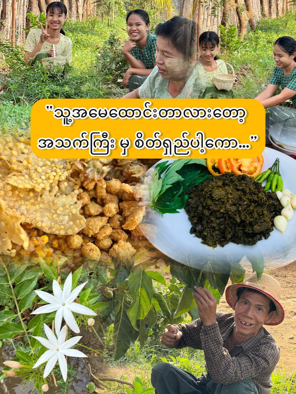 @Yar Taw Thu - ယာတောသူ