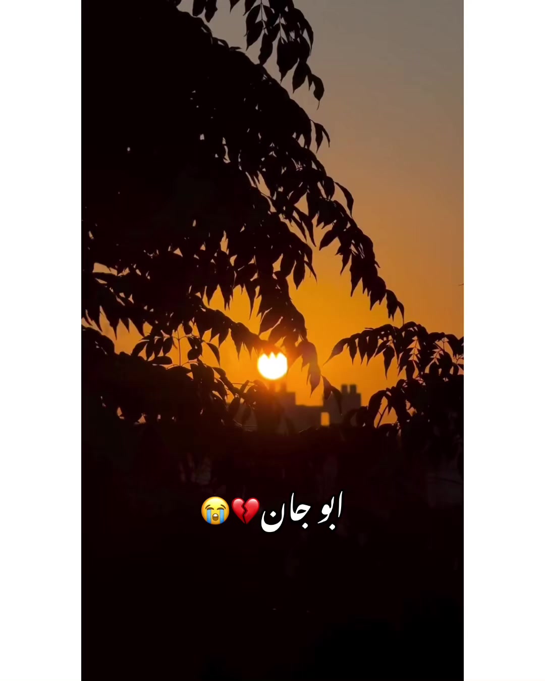 @⚜️𝐊𝐇𝐎𝐊𝐇𝐀𝐑❤️🩹