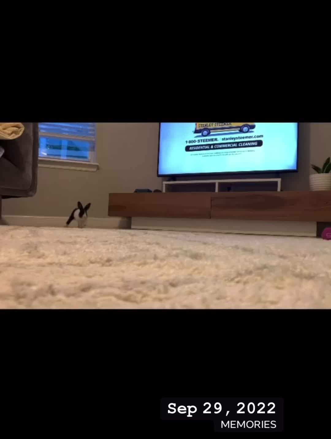 @EllaLouisBillie