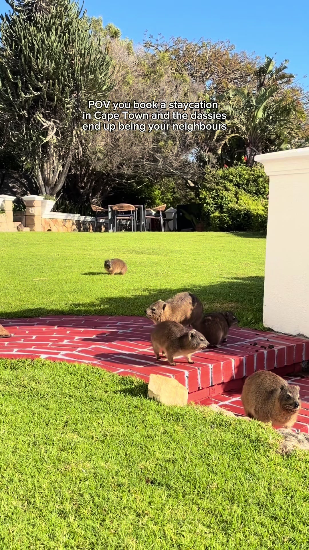 @secretcapetown