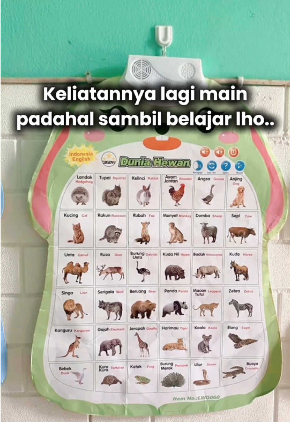 @Shella Damayanti