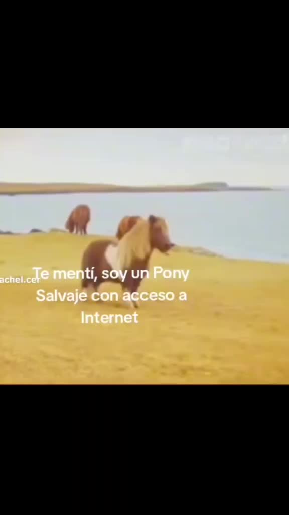 @Pepito el primero xd