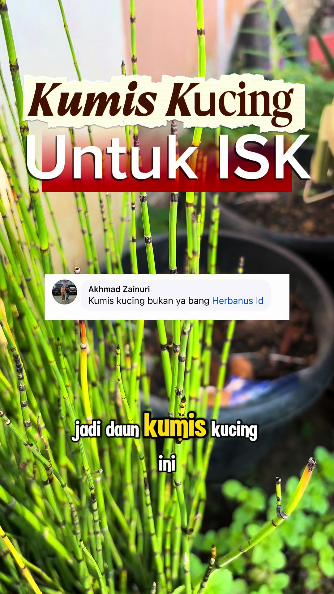 @de erstungkoro