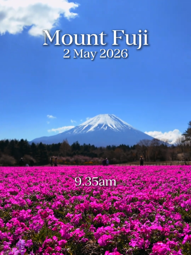 @Yamada | 1-Day Trip To Fuji