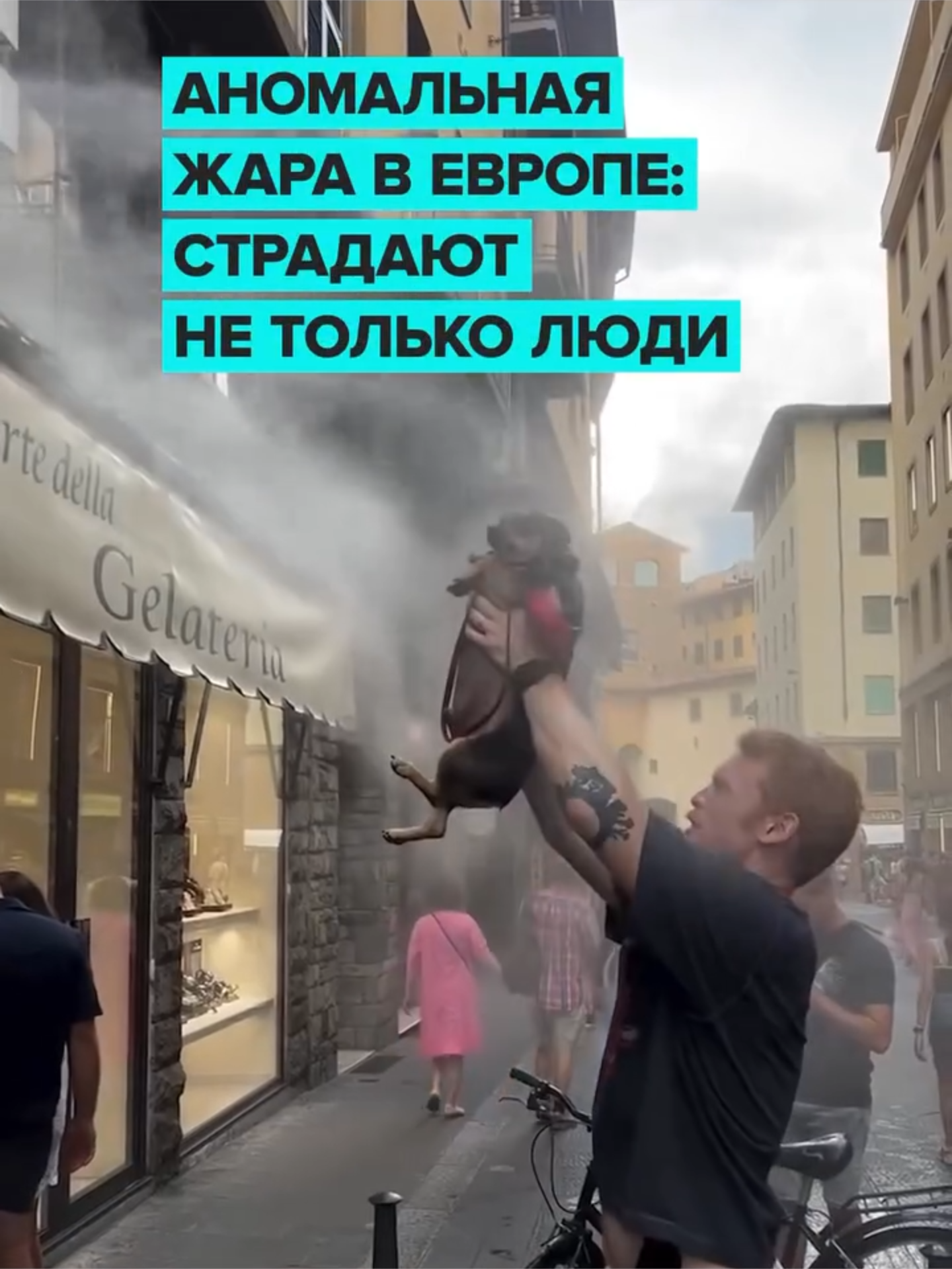 @Москва 24