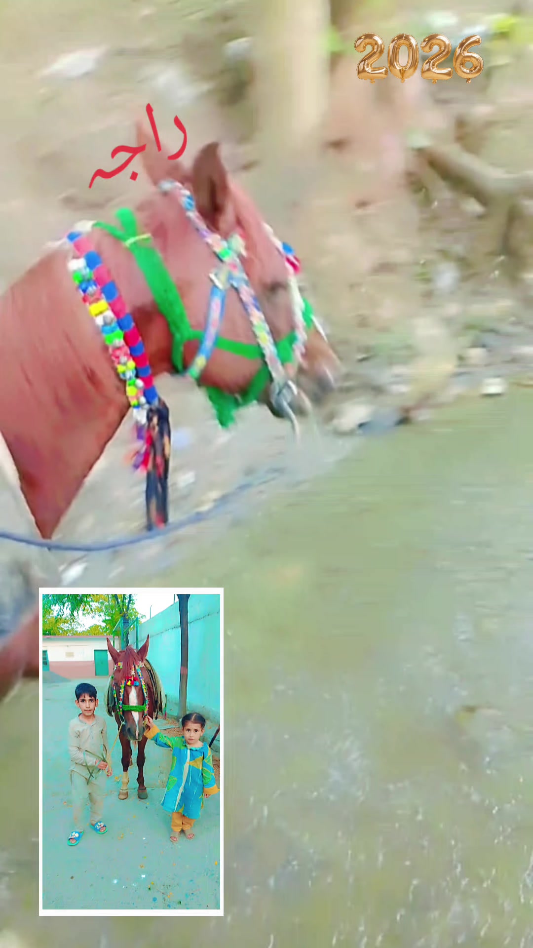 @luqman zaib