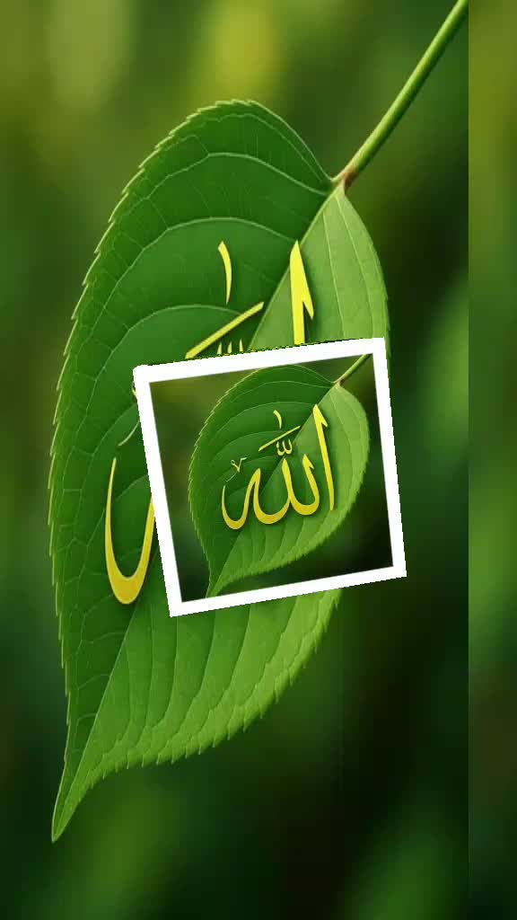 @Mohsin khan🇧🇩